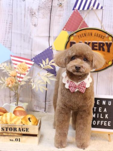 20240911ぷぷくん